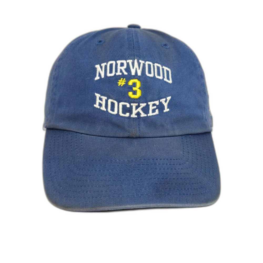 Vintage '47 Twins Norwood Hockey Stang Strong Dad Hat | Strapback Cap | Bluey2k2